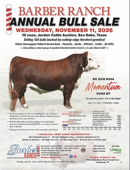 Barber Ranch Bull Sale Poster