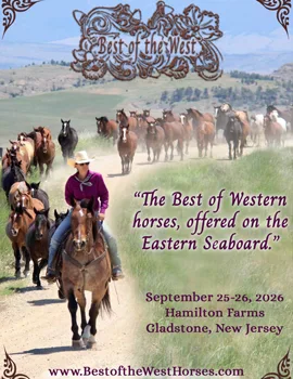 Best of the West poster image