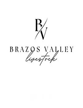 Brazos Valley Fall Livestock Sale Poster