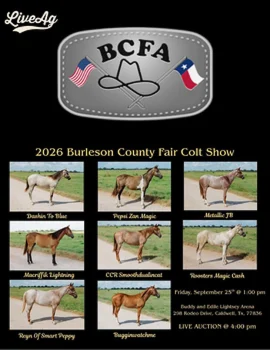 Burleson County Fair - Colt Project Poster