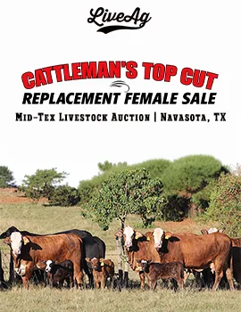 Cattlemen’s Top Cut poster image