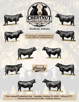 Chestnut Family & Friends poster image