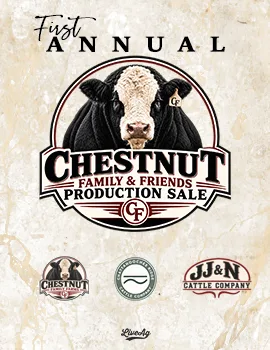 Chestnut Family & Friends poster image