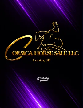 Corsica Horse Sale, LLC poster image