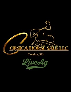 Corsica Horse Sale LLC Your Source for a Western Horse