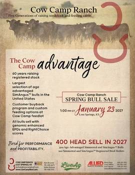 Cow Camp Spring Bull Sale Poster