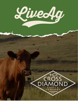 Cross Diamond Cattle Company Annual Production Sale Poster