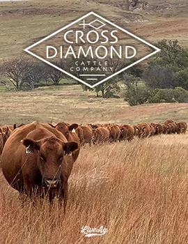 Cross Diamond Cattle poster image