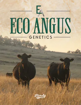 Eco Angus poster image