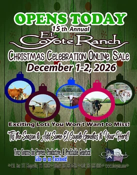 Christmas Celebration Online Sale Poster