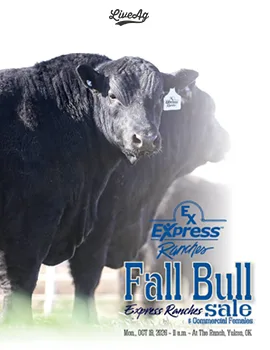 Express Ranches poster image