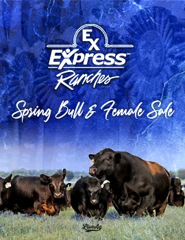 Express Ranches poster image