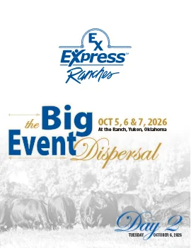 Express Day 2