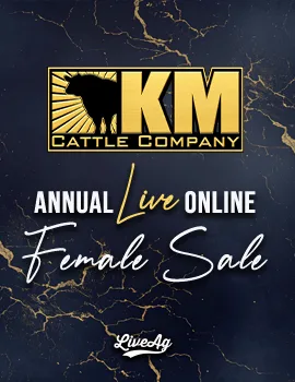 KM Cattle Company poster image