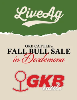 GKB Fall Bull Sale Poster