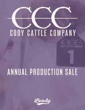 Cody Cattle Company poster image