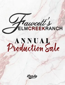 Fawcetts Elm Creek Ranch poster image