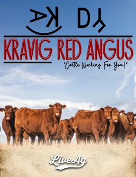 Kravig Red Angus poster image