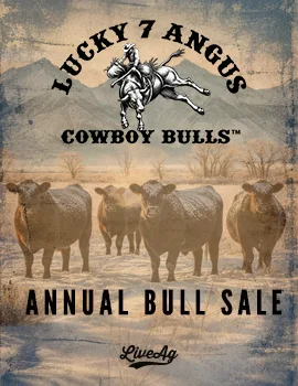 Lucky 7 Angus poster image