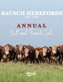 Rausch Herefords poster image