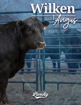 Wilken Angus poster image