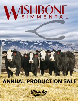 Wishbone Simmental poster image