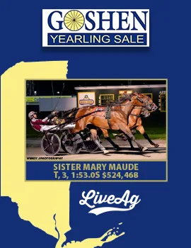 Goshen Yearling poster image