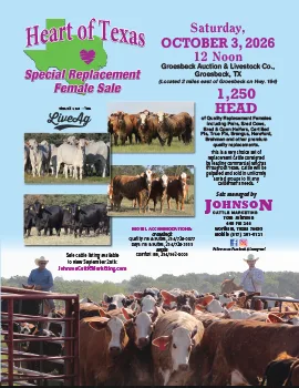 Heart of Texas poster image