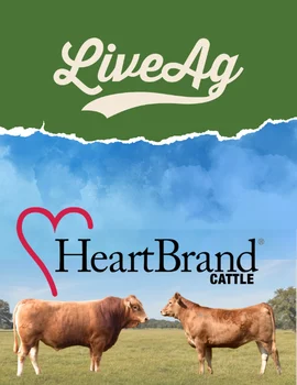 HeartBrand Cattle Family Matter V Sale