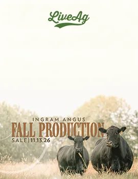 Ingram Angus poster image