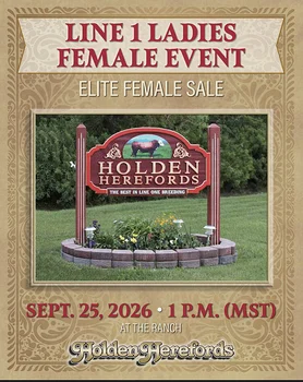 Line One Ladies Female Event | Holden Herefords Poster