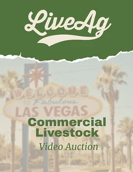 LiveAg Video Auction | Las Vegas, NV Poster