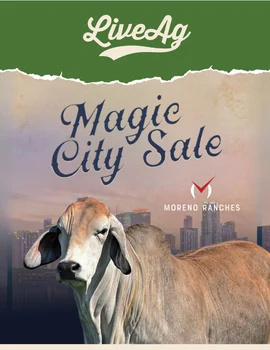 Moreno Ranches Magic City Sale Poster