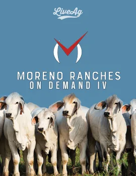 Moreno Ranches poster image