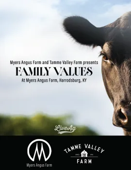 Myers Angus|Tamme Valley poster image