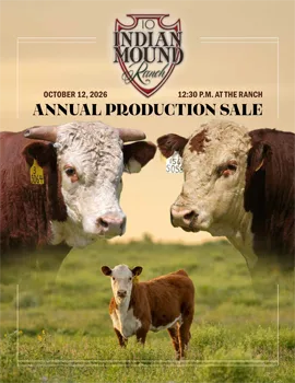 Indian Mound Ranch poster image