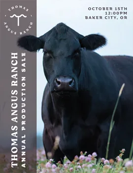 Thomas Angus Ranch poster image
