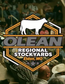 A League Of Their Own Prequalifier poster image