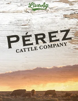 Perez Cattle Company poster image