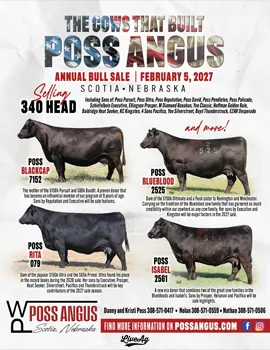 Poss Angus poster image