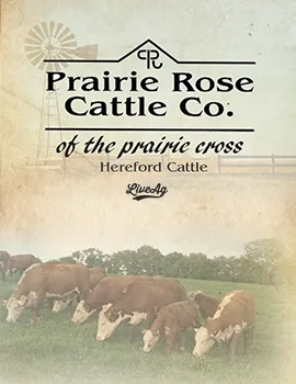 The Prairie Cross Ranches poster image