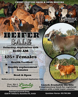 Running K Livestock poster image