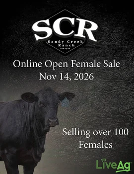 Sandy Creek Ranch Replacement Female Sale Poster