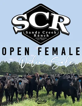 Sandy Creek Ranch poster image