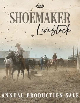 Shoemaker Livestock poster image