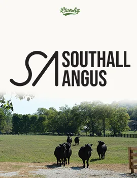 Southall Angus poster image