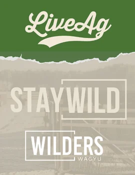 Stay Wild '26 | Wilders Wagyu Poster
