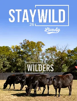 Wilders Wagyu poster image