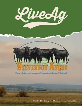 Stevenson Angus Fall Production Sale Poster
