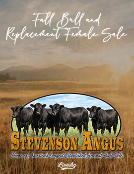 Stevenson Angus poster image